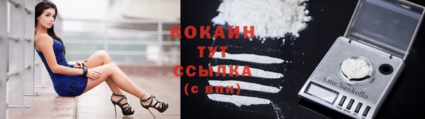бошки Верея