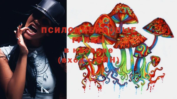 бошки Верея