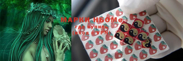 бошки Верея